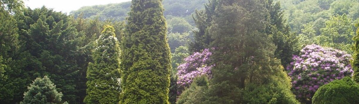 Centre Vale Park Todmorden looks like a great place to visit after lockdown.